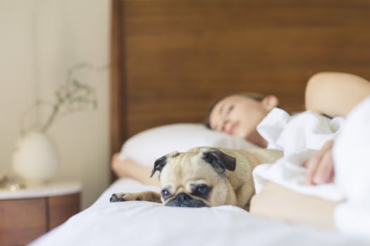 Woman sleeping before work