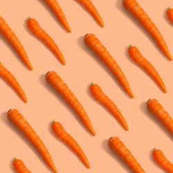 carrot compilation